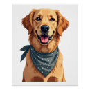 Pesquisar por golden retriever engraçado pôsteres Animal