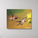 Pesquisar por colibri impressão de canvas Observador de pássaro