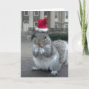 Pesquisar por esquilo natal cartoes Fofo