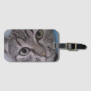 Pesquisar por peluche acessorios Gatinho