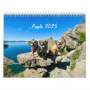 Pesquisar por puggles Cão