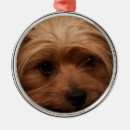 Pesquisar por yorkie ornamentos Natal
