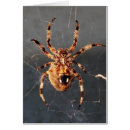 Pesquisar por tecelão cartoes postais Veneno