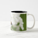 Pesquisar por imagem da flor canecas Natureza