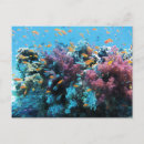 Pesquisar por laranja coral cartoes postais Fotografia