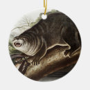 Pesquisar por lontra ornamentos Vida selvagem