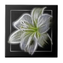 Pesquisar por flor do fractal azulejos Arte floral
