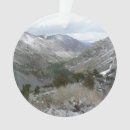 Pesquisar por sierra ornamentos Neve