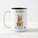 Pesquisar por gato fotografia For pets