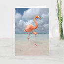 Pesquisar por palm beach cartoes Ocean