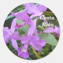 Pesquisar por costa rica adesivos Flor