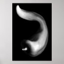 Pesquisar por curvy Elegante