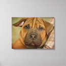 Pesquisar por sharpei Cão