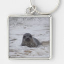 Pesquisar por imagens animais chaveiros Animal