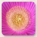 Pesquisar por flores brilhantes porta copos Floral