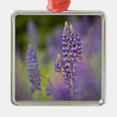 Pesquisar por minnesota ornamentos Cor