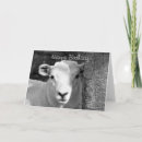 Pesquisar por cordeiro cartoes postais Preto e branco