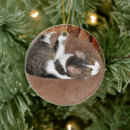 Pesquisar por cama ornamentos Gato