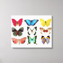 Pesquisar por borboleta preto e branco impressão de canvas Borboletas