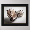 Pesquisar por arte do seashell Qualquer pessoa