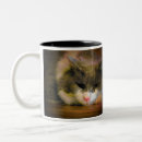 Pesquisar por gato mau humor canecas Gatos
