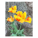 Pesquisar por listras amarelas pósteres pôsteres Amarelo