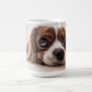 Pesquisar por cavaliers canecas Cão