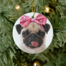 Pesquisar por pug bonito ornamentos Animal
