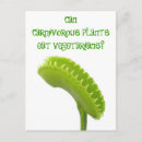 Pesquisar por venus cartoes postais Planta