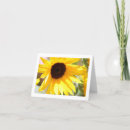 Pesquisar por pintura cartoes Amarelo