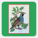 Pesquisar por quail adesivos Natureza