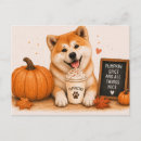 Pesquisar por akitas cartoes postais Cachorro akita
