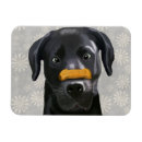 Pesquisar por ossos imas Steampunk