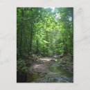 Pesquisar por suriname cartoes postais América do sul