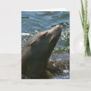 Pesquisar por mammals cartoes Animal