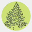 Pesquisar por samambaia adesivos Natureza