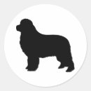 Pesquisar por pedigree adesivos Cão