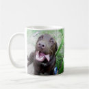 Pesquisar por chocolate labrador canecas Engraçado