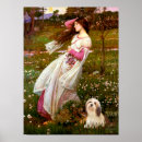 Pesquisar por lhasa apso pôsteres Cães