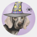 Pesquisar por weimaraner adesivos Fofo