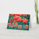 Pesquisar por tulipa do felz pascoa For her