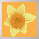 Pesquisar por daffodil pósteres pôsteres Para eles