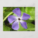 Pesquisar por vinco cartoes postais Natureza