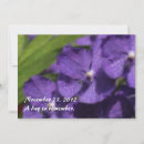 Pesquisar por havaianos da convites Plumeria