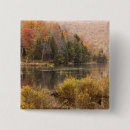 Pesquisar por reflexo botons Laranja
