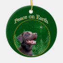 Pesquisar por labrador retriever ornamentos Chocolate