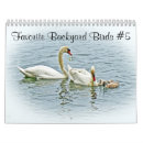 Pesquisar por aves canoras calendarios Calendário