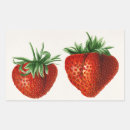 Pesquisar por gourmet adesivos Natureza