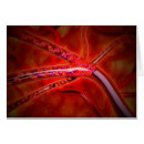 Pesquisar por oxigênio cartoes postais Células eritroides