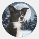 Pesquisar por cão a bordo adesivos Fronteira